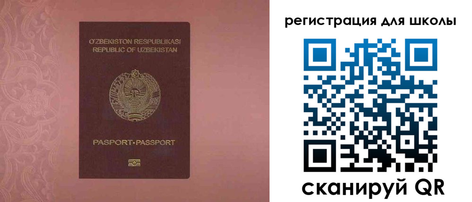 прописка для школы в Белгородской области