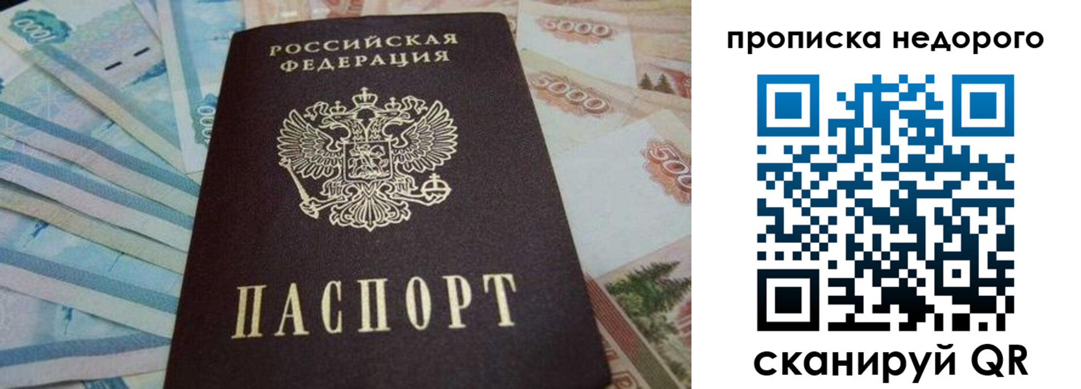 временная регистрация поиск в Белгородской области